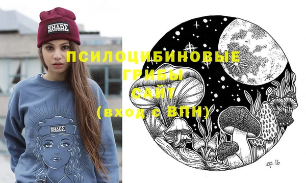 мескалин Няндома