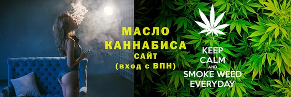 мдпв Новозыбков